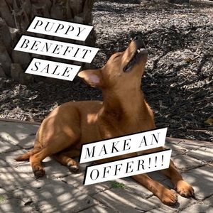 Puppy benefit sale! Make an offer!! No reasonable offers refused!!!